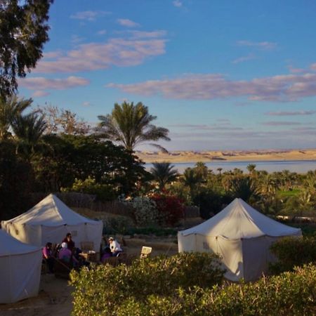 Tunis Village El-Fayoum Екстер'єр фото