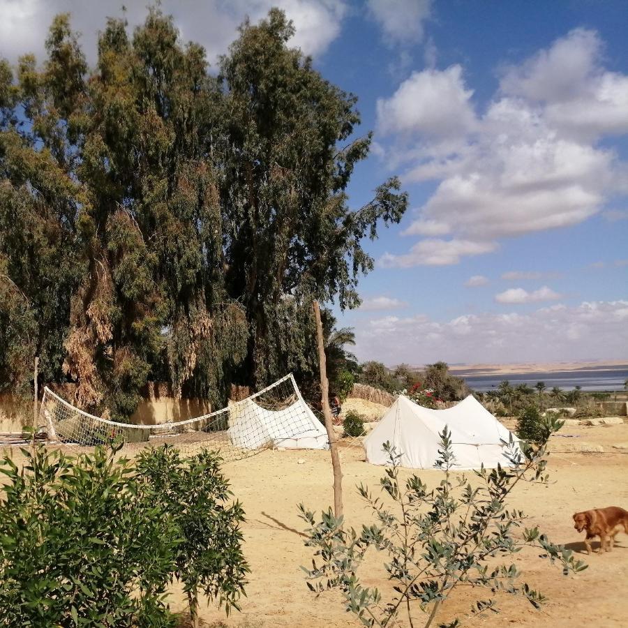 Tunis Village El-Fayoum Номер фото